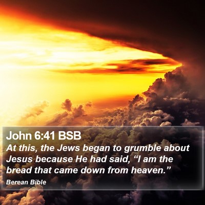 John 6:41 BSB Bible Verse Image