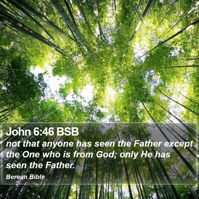 John 6:46 BSB Bible Verse Image