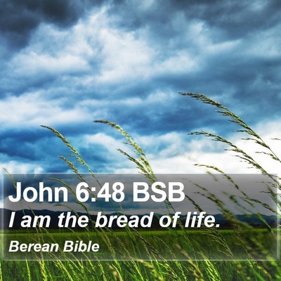 John 6:48 BSB Bible Verse Image