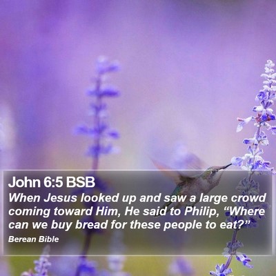 John 6:5 BSB Bible Verse Image