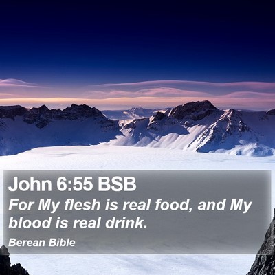 John 6:55 BSB Bible Verse Image