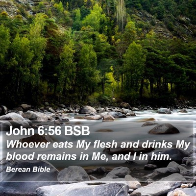 John 6:56 BSB Bible Verse Image