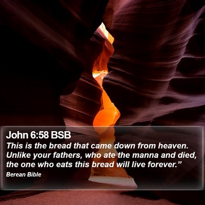 John 6:58 BSB Bible Verse Image