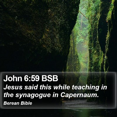 John 6:59 BSB Bible Verse Image