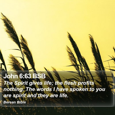 John 6:63 BSB Bible Verse Image