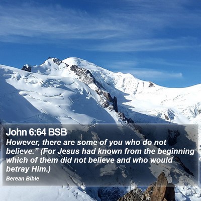 John 6:64 BSB Bible Verse Image