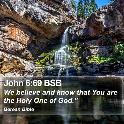 John 6:69 BSB Bible Verse Image