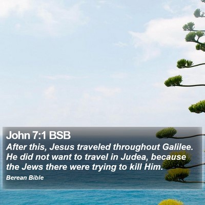 John 7:1 BSB Bible Verse Image