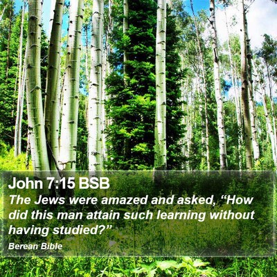 John 7:15 BSB Bible Verse Image