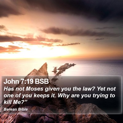 John 7:19 BSB Bible Verse Image
