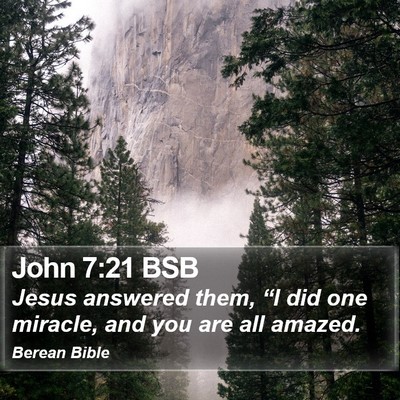 John 7:21 BSB Bible Verse Image