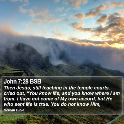 John 7:28 BSB Bible Verse Image