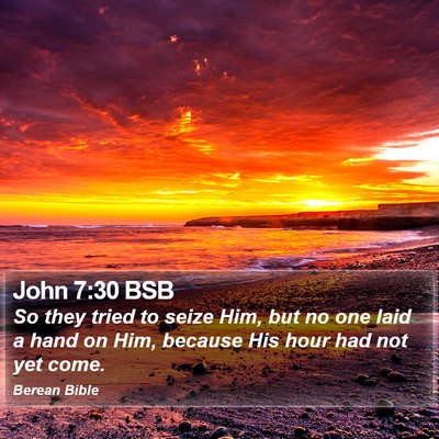 John 7:30 BSB Bible Verse Image