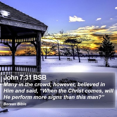 John 7:31 BSB Bible Verse Image