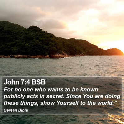 John 7:4 BSB Bible Verse Image