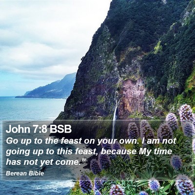 John 7:8 BSB Bible Verse Image