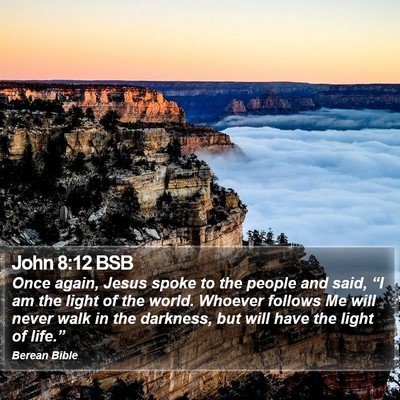 John 8:12 BSB Bible Verse Image