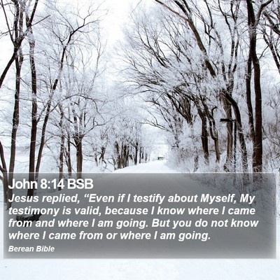 John 8:14 BSB Bible Verse Image