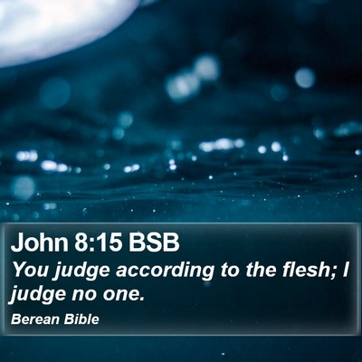 John 8:15 BSB Bible Verse Image