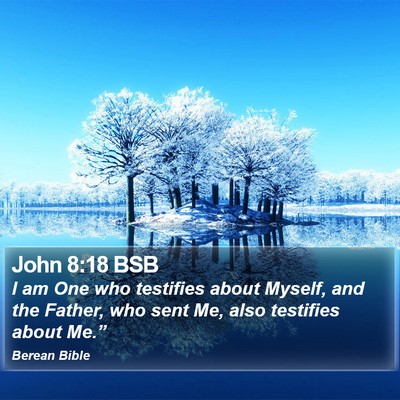 John 8:18 BSB Bible Verse Image