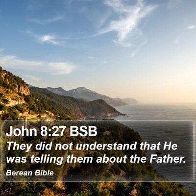 John 8:27 BSB Bible Verse Image