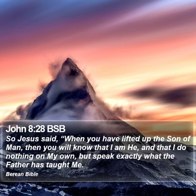 John 8:28 BSB Bible Verse Image