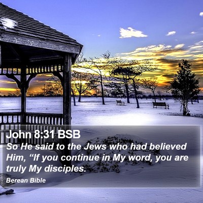 John 8:31 BSB Bible Verse Image