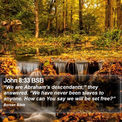 John 8:33 BSB Bible Verse Image