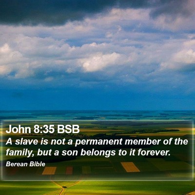 John 8:35 BSB Bible Verse Image