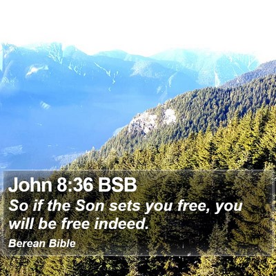 John 8:36 BSB Bible Verse Image