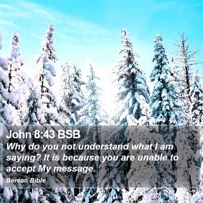 John 8:43 BSB Bible Verse Image