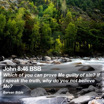 John 8:46 BSB Bible Verse Image