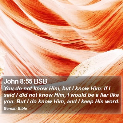 John 8:55 BSB Bible Verse Image