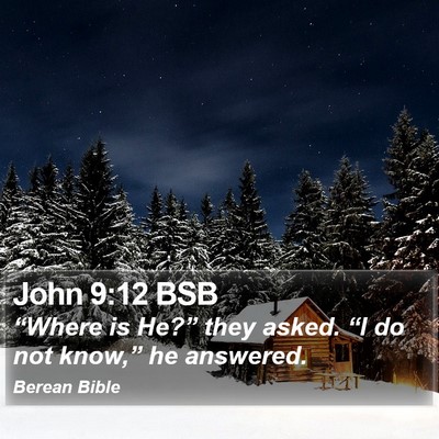 John 9:12 BSB Bible Verse Image