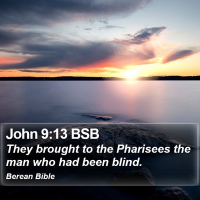 John 9:13 BSB Bible Verse Image