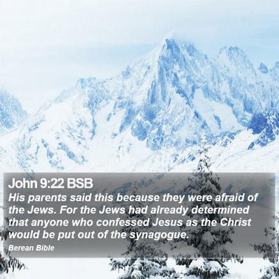 John 9:22 BSB Bible Verse Image