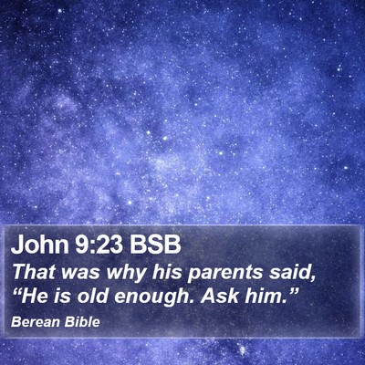 John 9:23 BSB Bible Verse Image