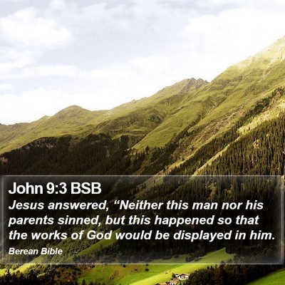 John 9:3 BSB Bible Verse Image