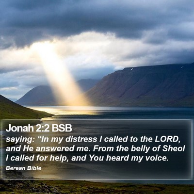 Jonah 2:2 BSB Bible Verse Image