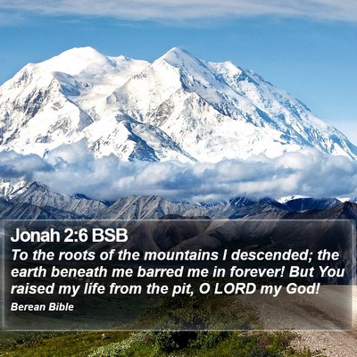 Jonah 2:6 BSB Bible Verse Image