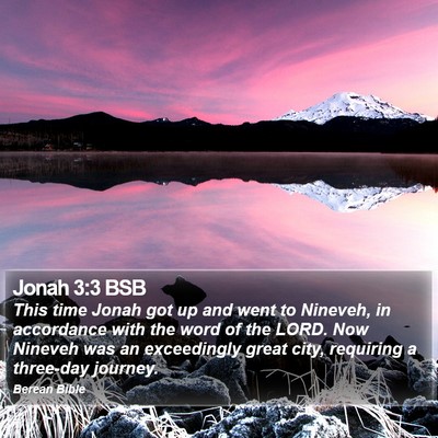 Jonah 3:3 BSB Bible Verse Image