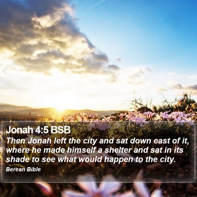 Jonah 4:5 BSB Bible Verse Image