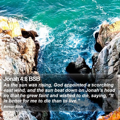 Jonah 4:8 BSB Bible Verse Image