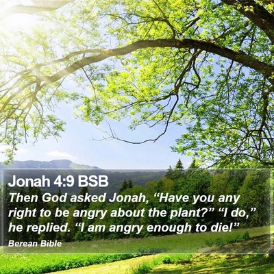 Jonah 4:9 BSB Bible Verse Image