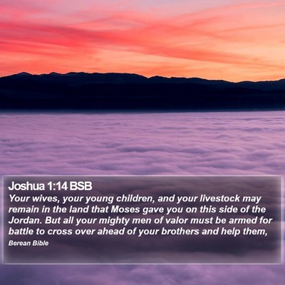 Joshua 1:14 BSB Bible Verse Image