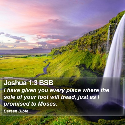 Joshua 1:3 BSB Bible Verse Image
