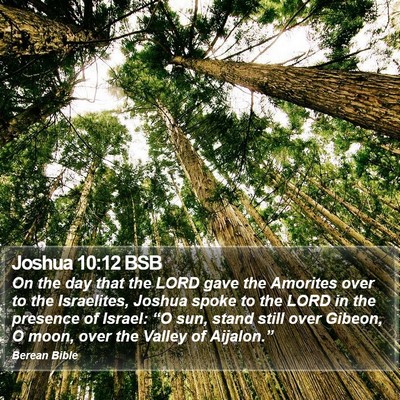 Joshua 10:12 BSB Bible Verse Image
