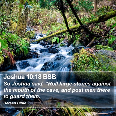 Joshua 10:18 BSB Bible Verse Image