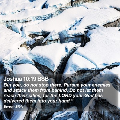 Joshua 10:19 BSB Bible Verse Image