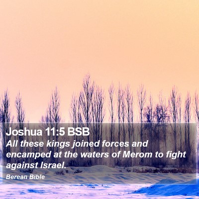 Joshua 11:5 BSB Bible Verse Image